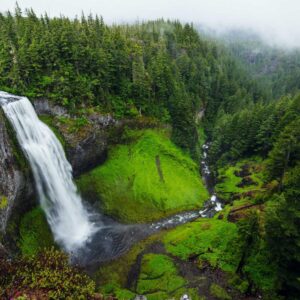 Samurai Cat — Unisex Hoodie